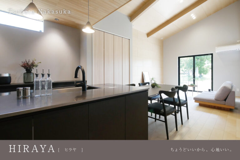 コンセプトモデル「HIRAYA」／津幡町中須加